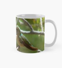 Taza Female Anna's Hummingbird