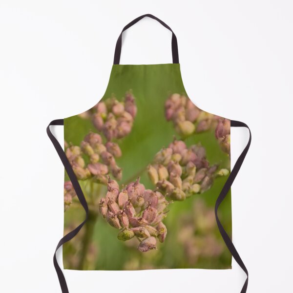 Item preview, Seedpods of a wild chervil plant designed and sold by xophotography.