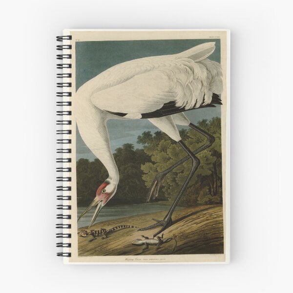 Item preview, 226 Hooping Crane designed and sold by Bird-Lore.