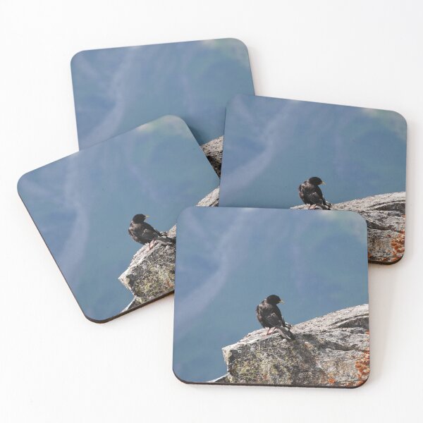 Item preview, Alpine chough bird designed and sold by EngineerGoC.