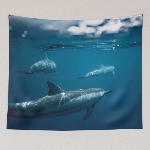 Item preview, Dolphins on a Journey designed and sold by coolmerchplanet.