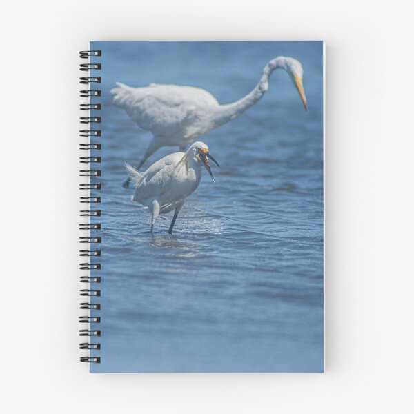 Item preview, Snowy Egret and Great egret 3 designed and sold by KensLensDesigns.