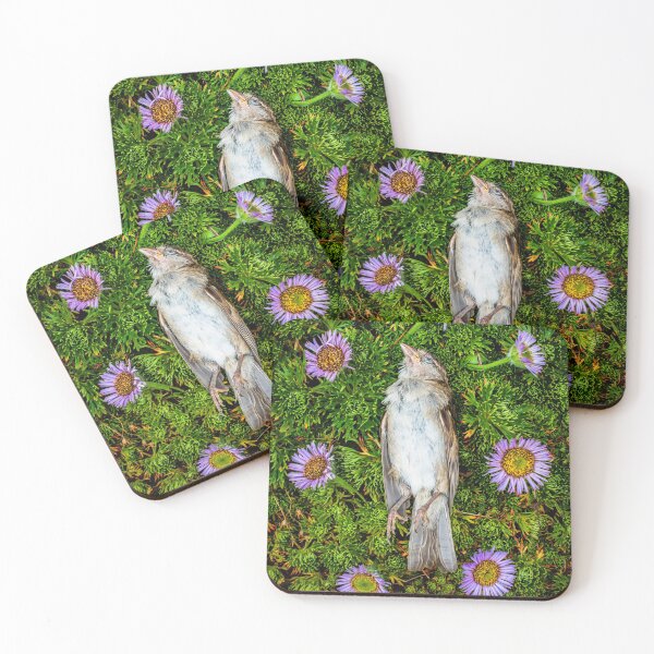Item preview, Dead Sparrow with Flowers designed and sold by Richard Nixon.