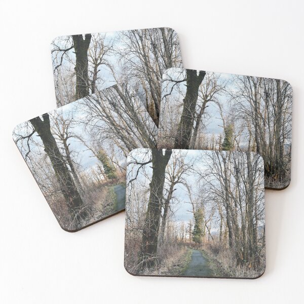 Item preview, autumn trail designed and sold by LifeAsGeneration Z.