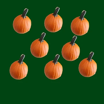 Artwork thumbnail, The pumpkin patch by Rachel the Artist