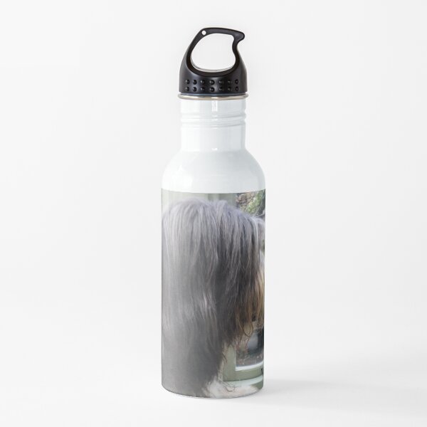 Bearded Collie - Did Somebody Say Walkies to this Beautiful Beardie?! Water Bottle