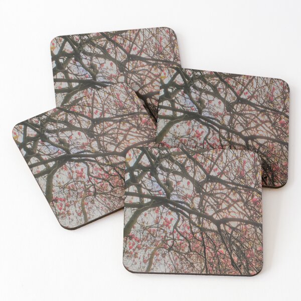 Item preview, Magnolia Branches at Dawn designed and sold by The Mysterious Domain Alyne Whiteswan Fine Art Prints and Merch.