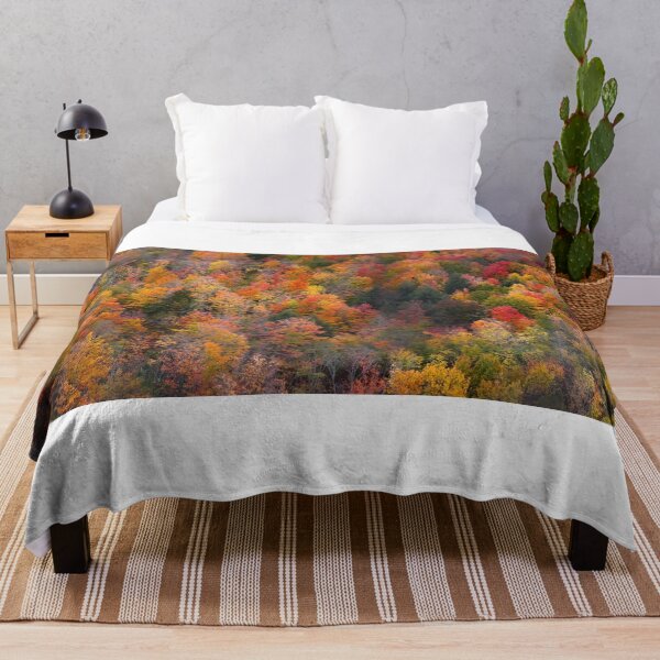 Item preview, Autumn in Black river national forest designed and sold by snehit.