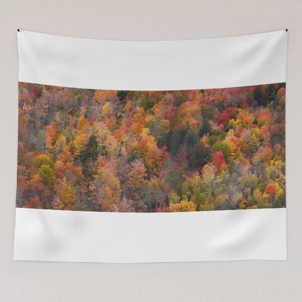 Item preview, Autumn in Black river national forest designed and sold by snehit.