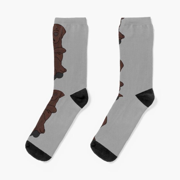 Labrador makes males Socks