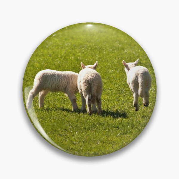 Item preview, Lamb Jumping off the field, or lamb on springs or spring lamb!  designed and sold by Cameranick.