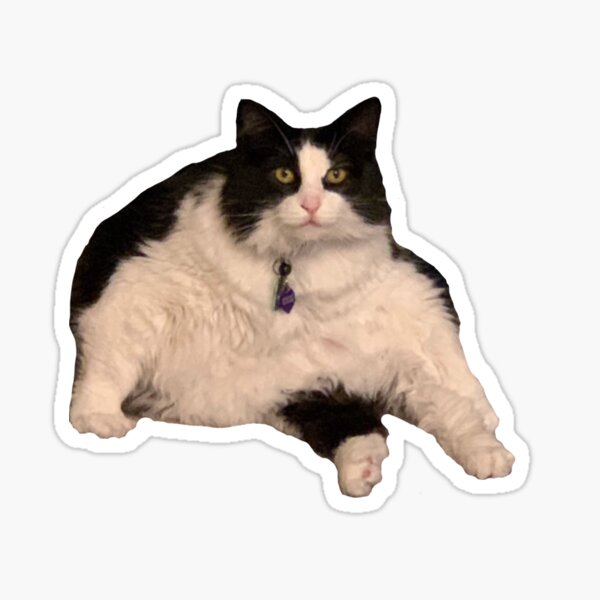 Fat Black Cat Sticker, 3 Fatty Kitty, Fat Cat, Black Cat, Cute