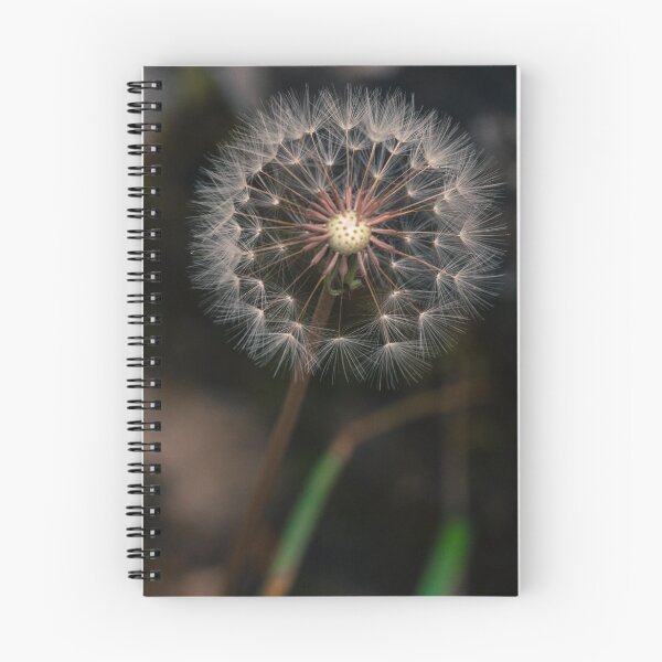 Item preview, Taraxacum designed and sold by hayrettinsokmen.