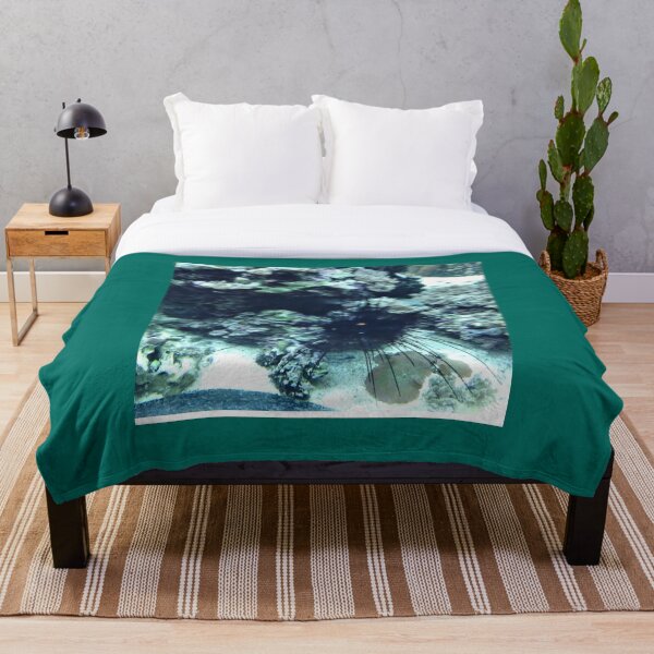 Item preview, Erizo de mar designed and sold by TorieWear.