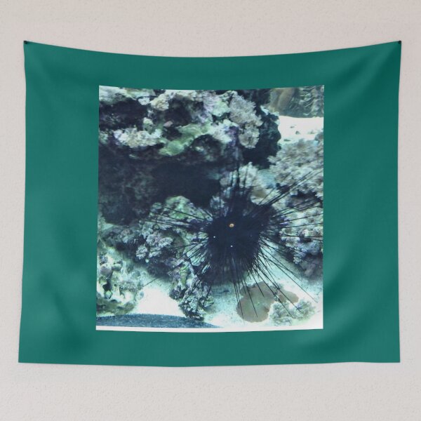 Item preview, Sea Urchin designed and sold by TorieWear.