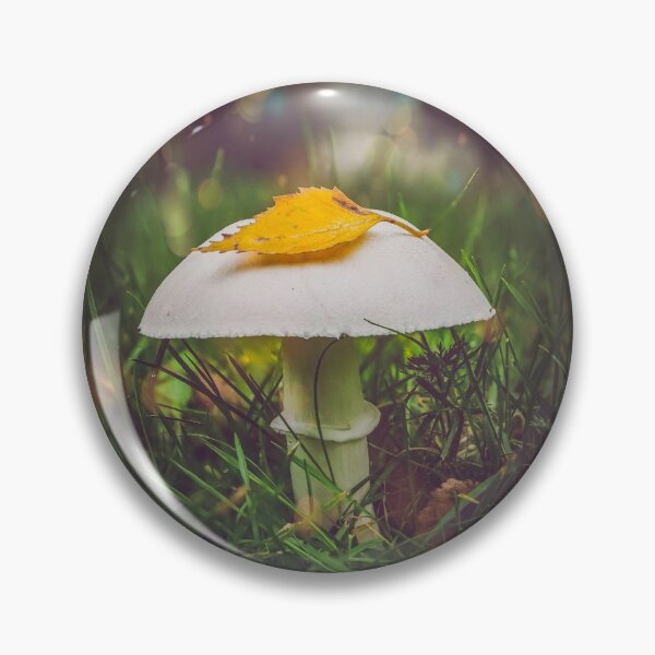 Item preview, autumn designed and sold by Stefanie Feldhaus.