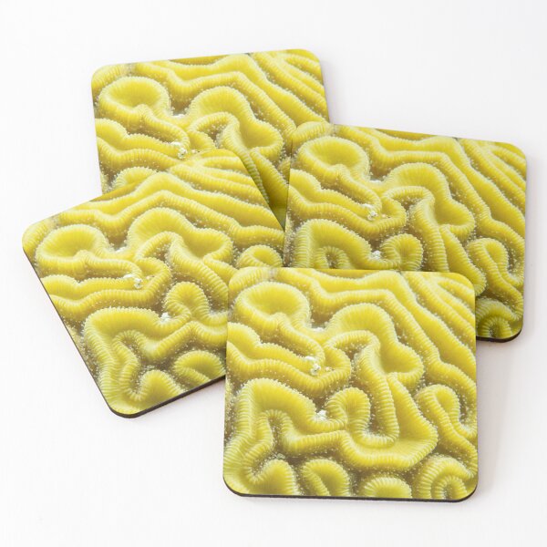 Item preview, Grooved Brain Coral designed and sold by Caitlin Chock.