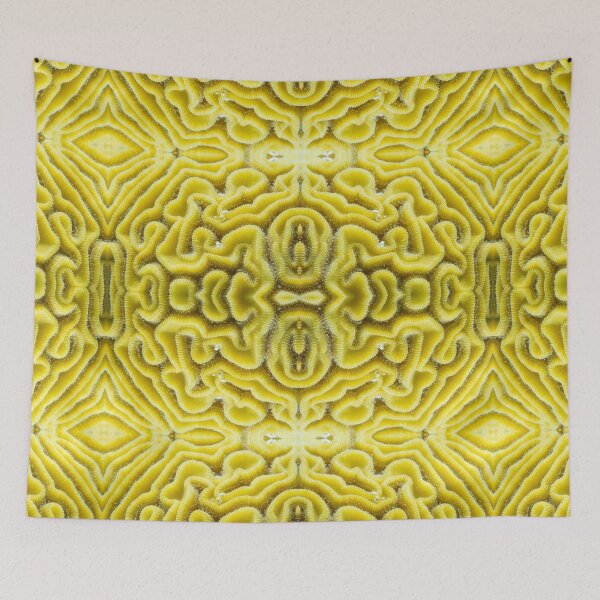 Item preview, Grooved Brain Coral designed and sold by Caitlin Chock.