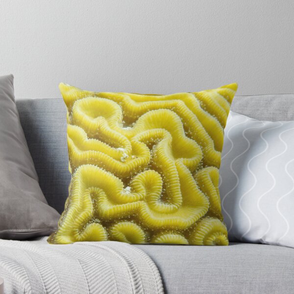 Item preview, Grooved Brain Coral designed and sold by Caitlin Chock.