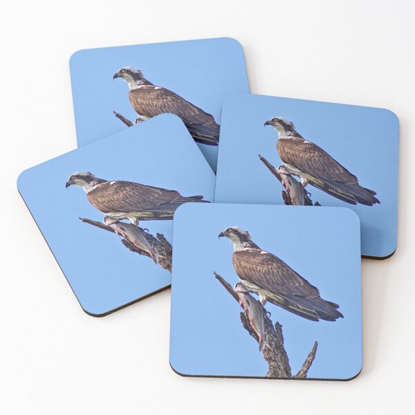 Item preview, Catch of the Day  designed and sold by Lanis Rossi.
