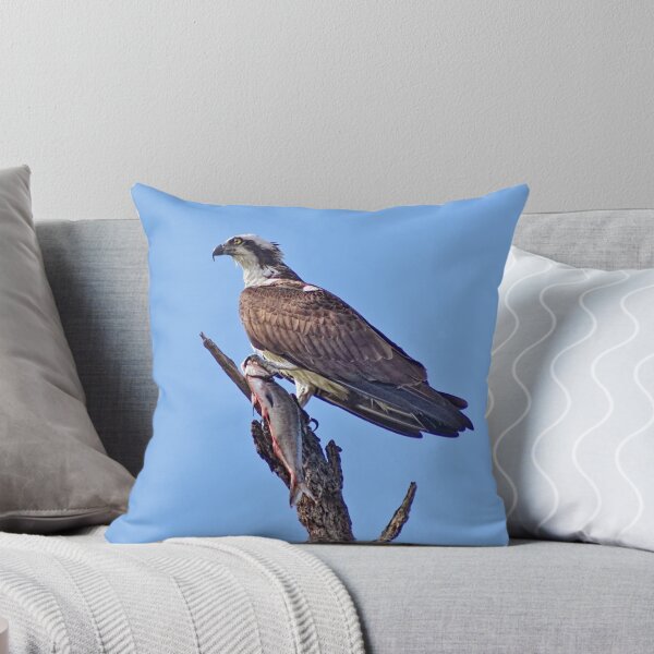 Item preview, Catch of the Day  designed and sold by Lanis Rossi.