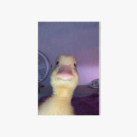 Item preview, Funny duck selfie designed and sold by mollymarinara.