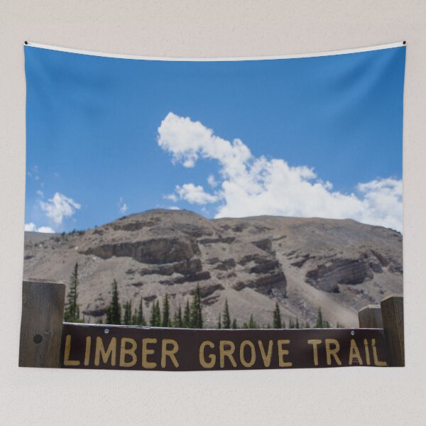 Item preview, Colorado Mountain 2 designed and sold by photosbyalexis.
