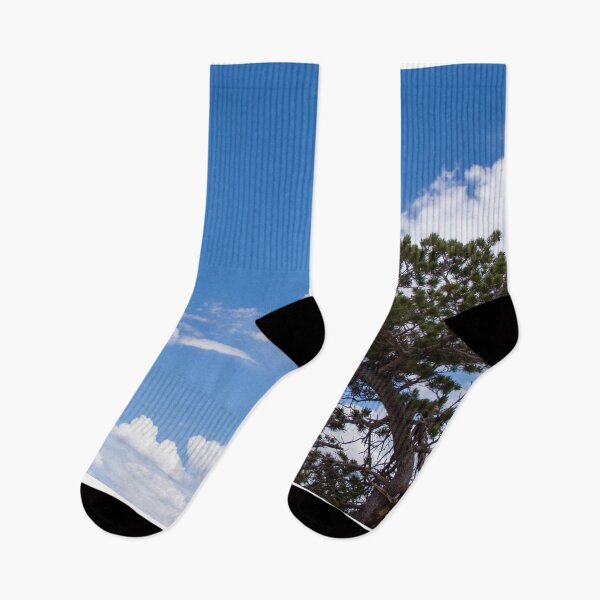 Item preview, Bristlecone Tree designed and sold by photosbyalexis.