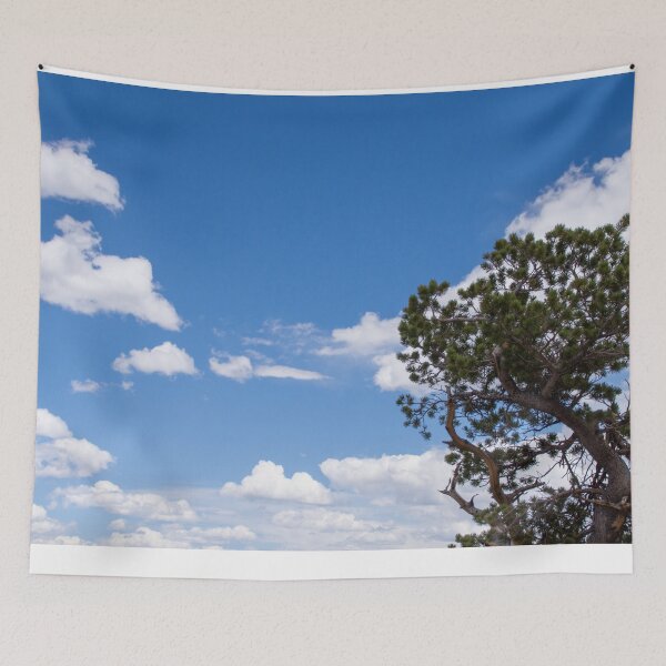 Item preview, Bristlecone Tree designed and sold by photosbyalexis.