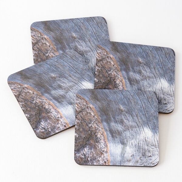Item preview, Tree Bark designed and sold by photosbyalexis.