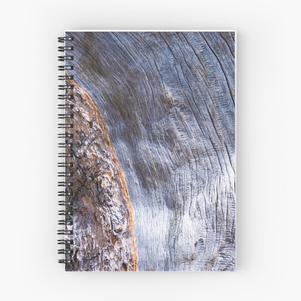 Item preview, Tree Bark designed and sold by photosbyalexis.