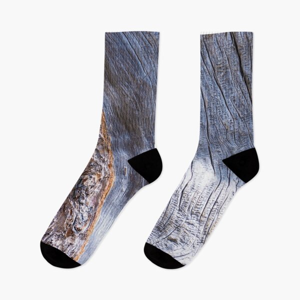 Item preview, Tree Bark designed and sold by photosbyalexis.