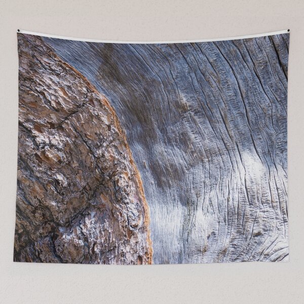 Item preview, Tree Bark designed and sold by photosbyalexis.