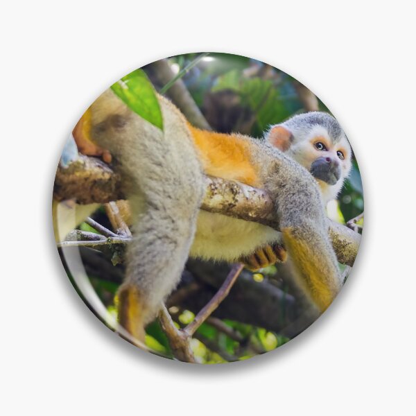 Item preview, Mono ardilla - Costa Rica designed and sold by Ulysse Pixel.