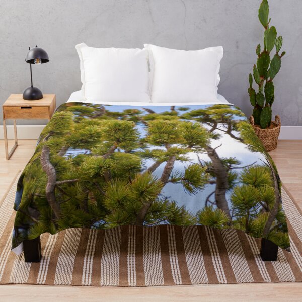 Item preview, Close up of Bristlecone Tree designed and sold by photosbyalexis.