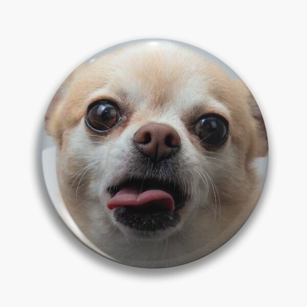 Item preview, Chihuahua Dog pets dogs cute full face tongue designed and sold by Coolstuff4you71.
