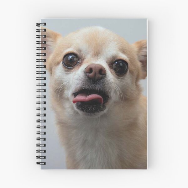 Item preview, Chihuahua Dog pets dogs cute full face tongue designed and sold by Coolstuff4you71.