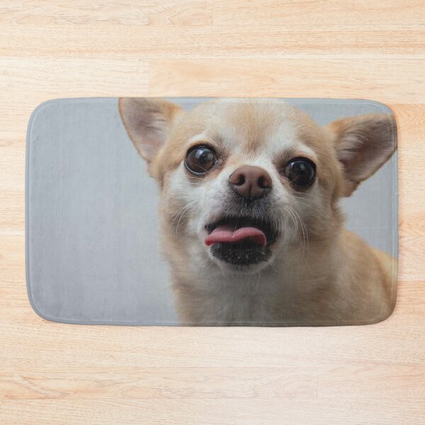 Item preview, Chihuahua Dog pets dogs cute full face tongue designed and sold by Coolstuff4you71.