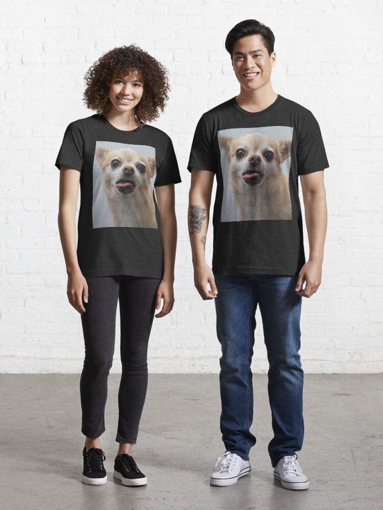 Chihuahua t hotsell shirts for dogs