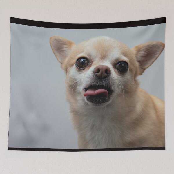 Item preview, Chihuahua Dog pets dogs cute full face tongue designed and sold by Coolstuff4you71.