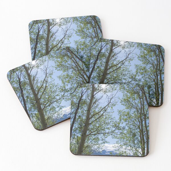 Item preview, Colorado Mountain 5 designed and sold by photosbyalexis.