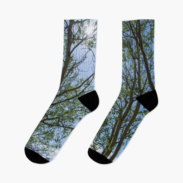 Item preview, Colorado Mountain 5 designed and sold by photosbyalexis.