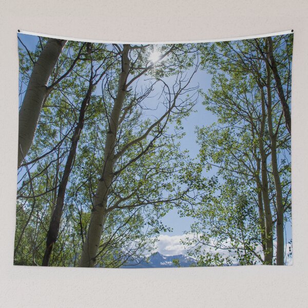 Item preview, Colorado Mountain 5 designed and sold by photosbyalexis.
