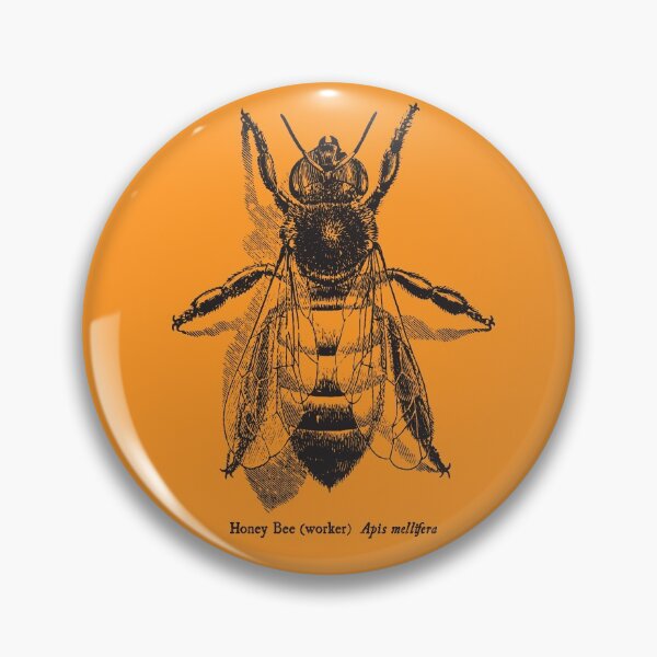 Item preview, Honey Bee -  Vintage Scientific Illustration designed and sold by coalfrog.