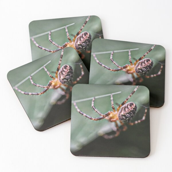 Item preview, Cross Spider Macro - Spooky Spider Lovers Gifts designed and sold by r-silver.