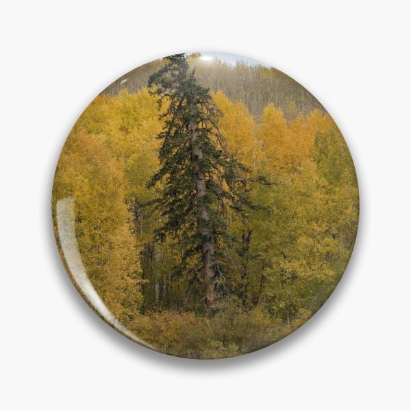 Item preview, Aspens embracing the Pine designed and sold by Jwmoore303.