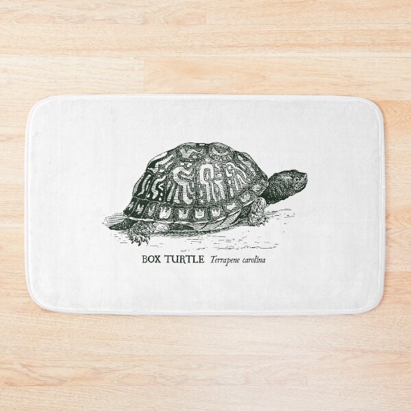 Item preview, Box Turtle - Vintage scientific illustration designed and sold by coalfrog.