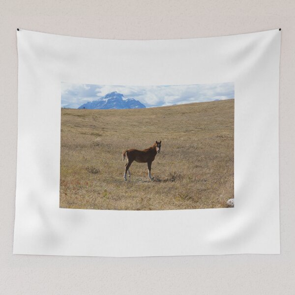 Item preview, Child of the Prairie with Rising Wolf Mountain designed and sold by Vivar Photo.