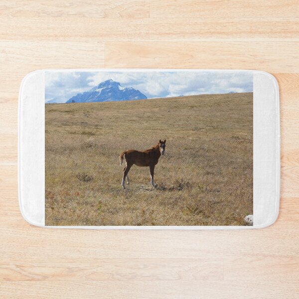 Item preview, Child of the Prairie with Rising Wolf Mountain designed and sold by Vivar Photo.
