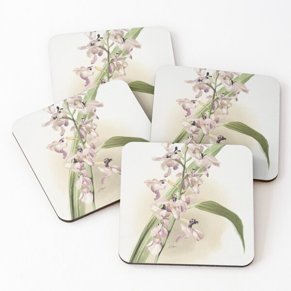 Item preview, Reichenbachia: Orchids Illustrated and Described designed and sold by EsotericBotanic.